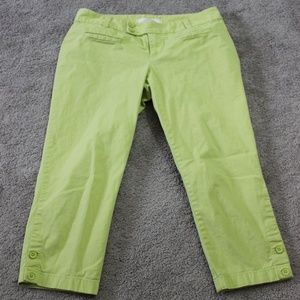 LOFT Chartreuse petite crops